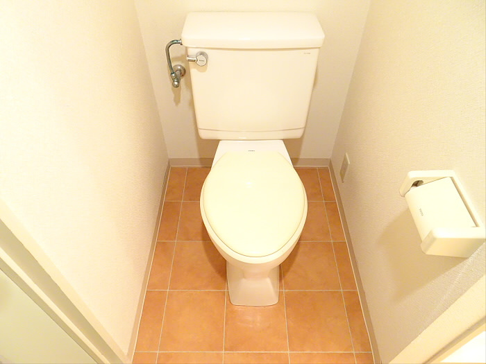 ラメゾン国分のトイレ