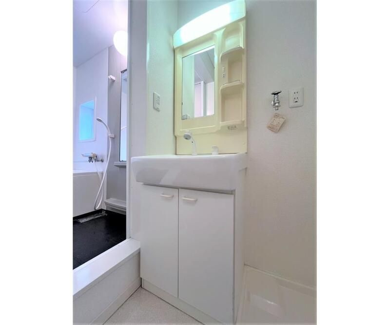 ドマーニ南大塚の独立洗面台