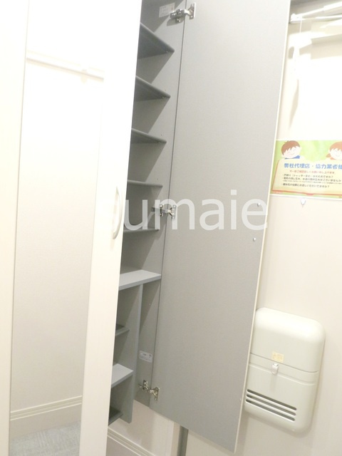 セレシェイラ弐番館の収納|シューズボックスです。