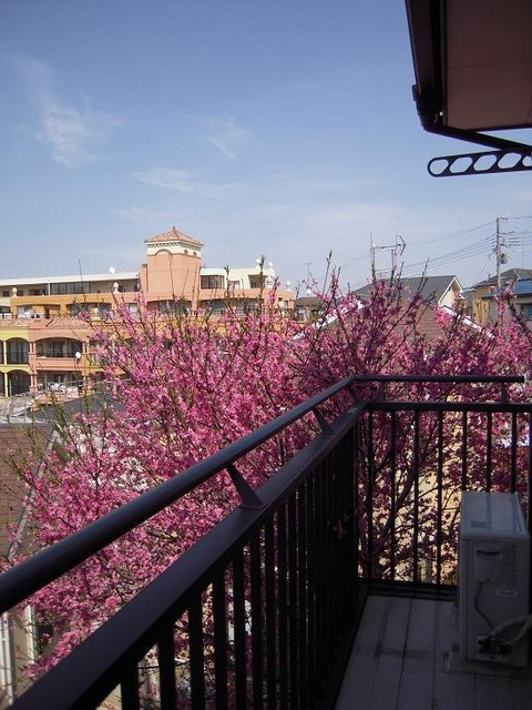 ロンウェル菊名　Ａ棟のバルコニー