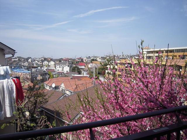 ロンウェル菊名　Ａ棟の展望