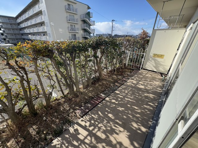 朝霧マンションB棟の庭