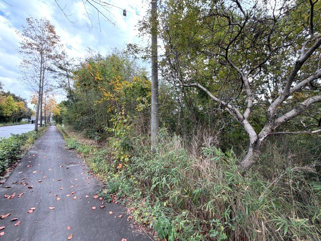 加東市河高　売地