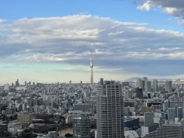 アーバンドックパークシティ豊洲タワーA棟の展望|眺望