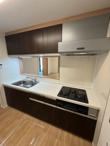 新座市片山三丁目戸建のキッチン|使いやすいキッチンです