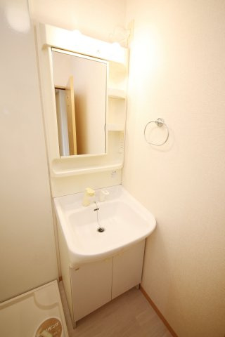 プレジール伏見の洗面所