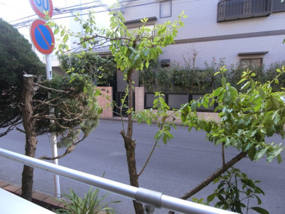 【展望】 | テラス高山