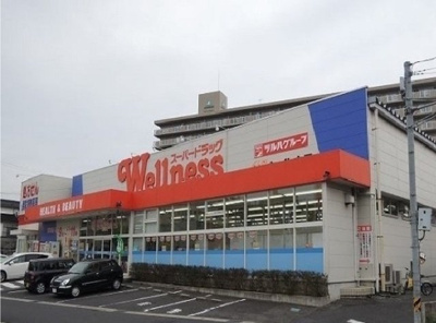 【周辺】 | アーバンライフ　サイカ | ウェルネス橋南店まで700m