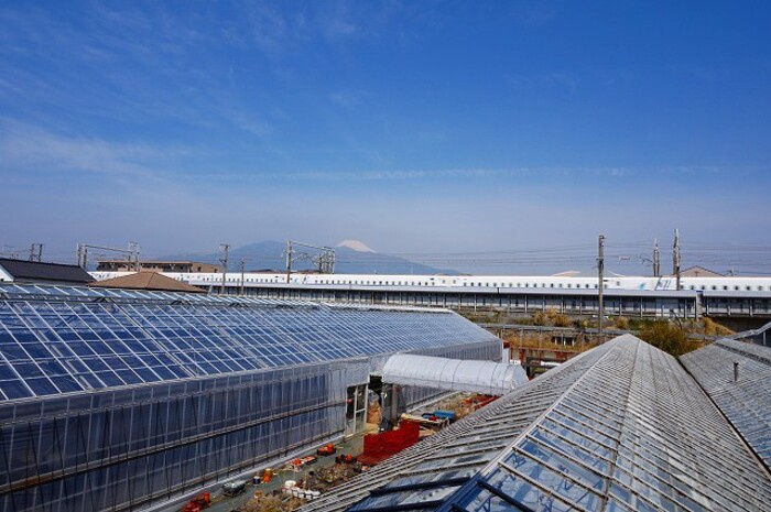 オークタウンＡの展望