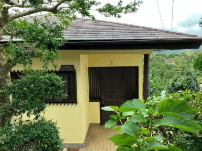 伊豆急荻分譲地　戸建の画像