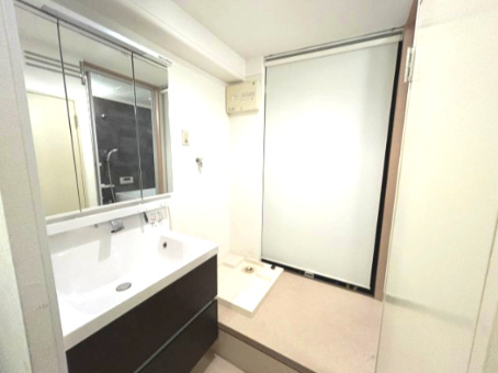 西大路ガーデンハイツの独立洗面台