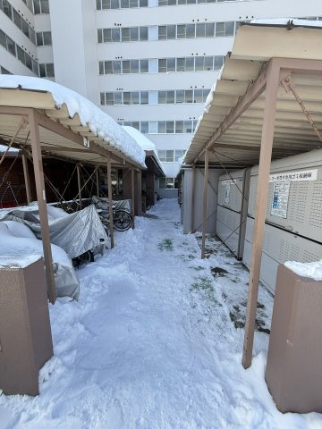 グリーンコーポ豊平の駐輪場