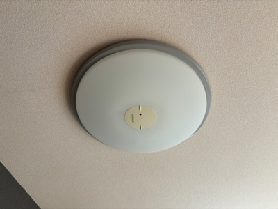  | ディア・ラソ