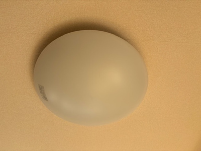  | ディア・ラソ