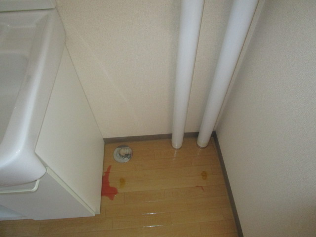 コーポ翼の内装