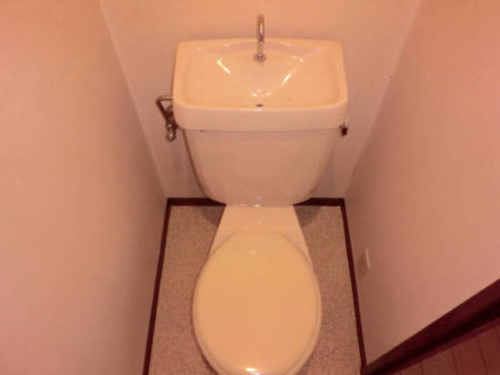 ハイツストーンリークのトイレ|ﾄｲﾚ107