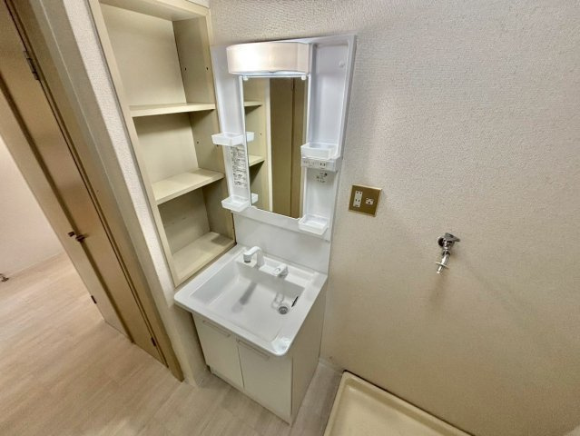 エクラージュB棟の洗面所