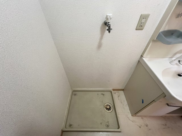 シャーメゾン アルファⅡの洗面所