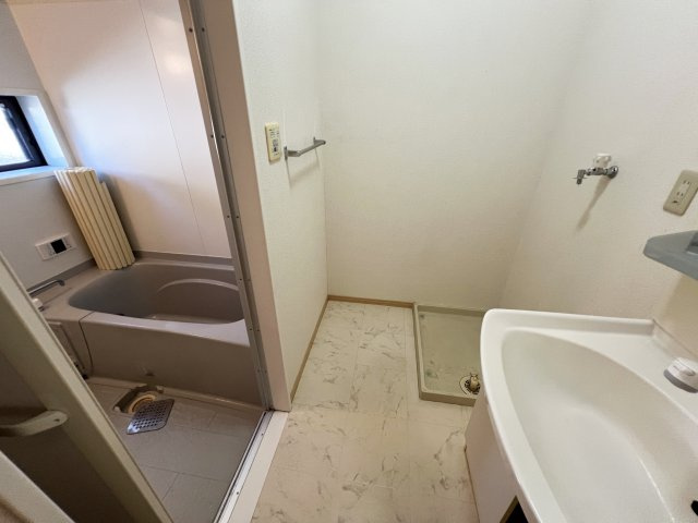 シャーメゾン アルファⅡの洗面所