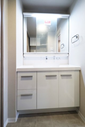 藤和シティホームズ西巣鴨の洗面所