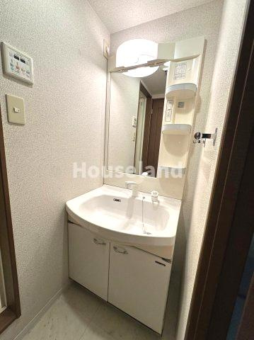 セゾン湊の洗面所