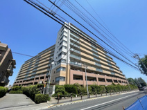 ルイシャトレひばりヶ丘ラスティパーク　2階の画像