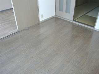 ハイムリトルオアシスの内装|洋室