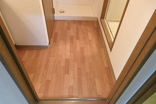 ハイムリトルオアシスの洗面所|洗面所