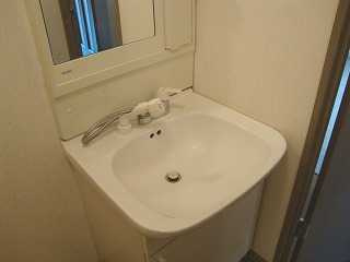 ハイムリトルオアシスの洗面所|洗面