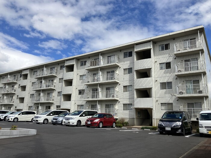 メゾンベルウッド