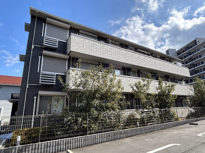 オアシスグレース