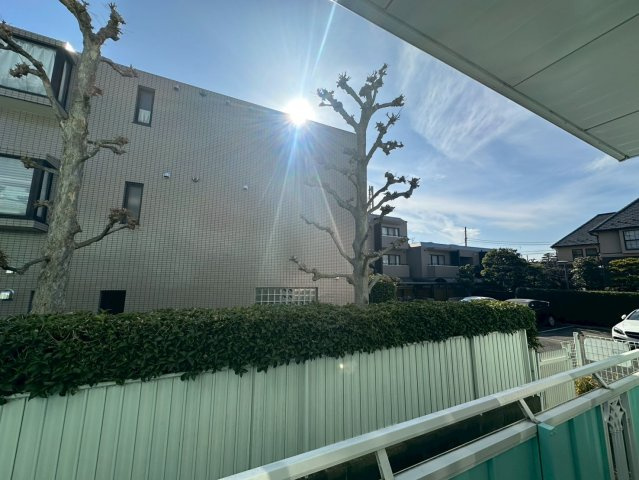 セルバハイツの展望