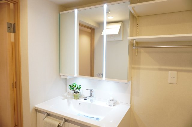 日商岩井草加マンションの独立洗面台