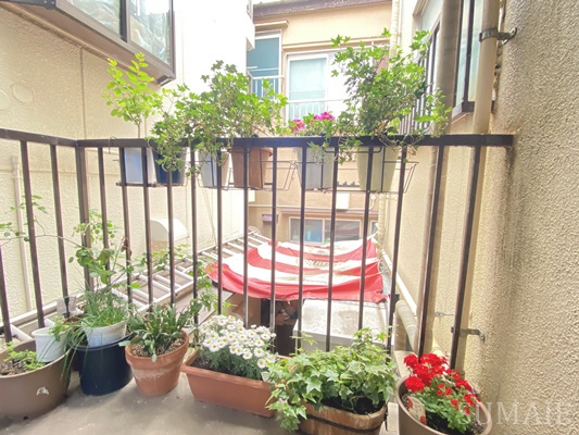 栄ビルのその他|階段の途中に綺麗なお花☆
