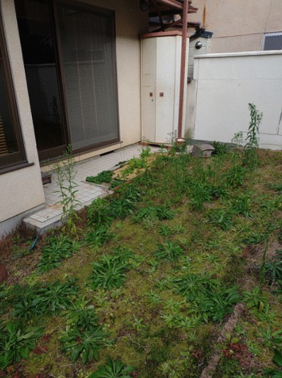 【その他】 | K12082-上賀茂