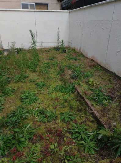 【その他】 | K12082-上賀茂