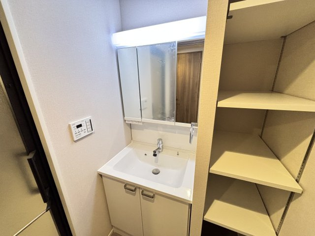 RJRプレシア川口の独立洗面台