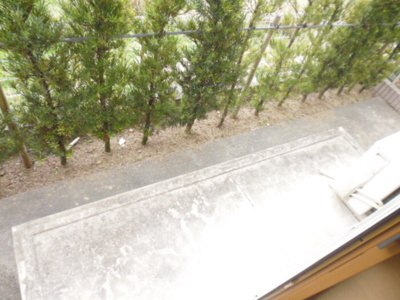 【庭】 | トータスモア参番館