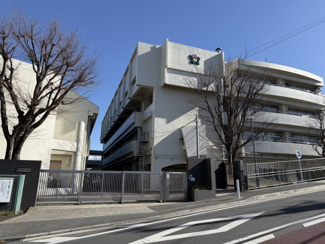 【周辺】 | 港北区下田町3丁目　戸建全4棟 | 横浜市立下田小学校（歩10分、約750m）