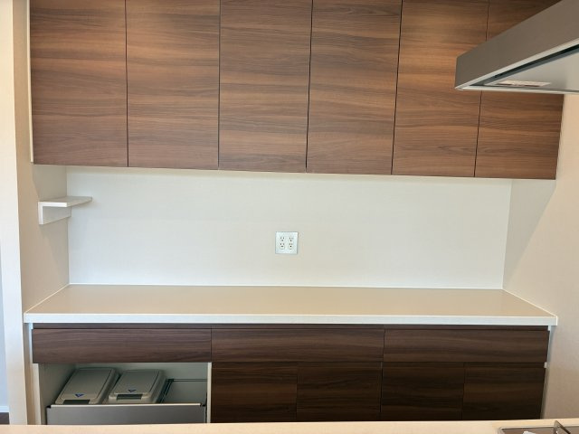 バースシティ・ザ・マーク鷺沼のキッチン|背面収納