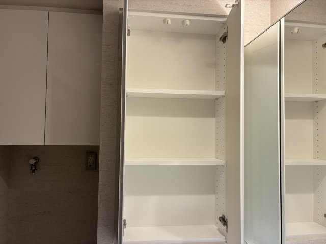 バースシティ・ザ・マーク鷺沼の独立洗面台|収納：洗面台横