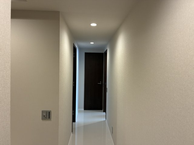 バースシティ・ザ・マーク鷺沼のその他|廊下