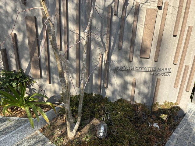 バースシティ・ザ・マーク鷺沼のエントランス|Entrance