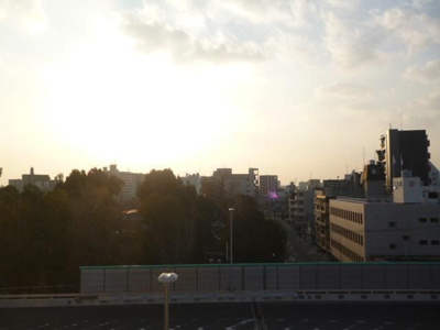 【展望】 | エクセレント上新20