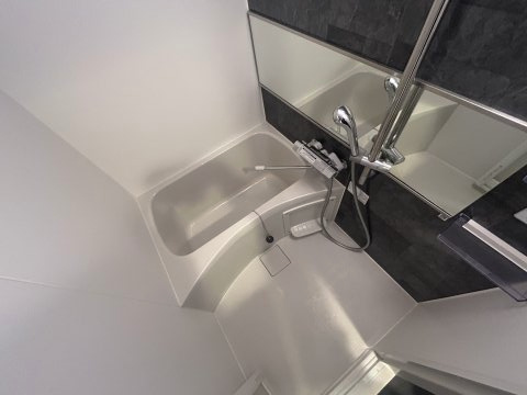 プレサンスOSAKA姫里エンファシスの浴室