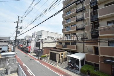 【展望】 | F asecia mele