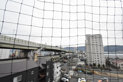 【展望】 | スペランツァデリーティア