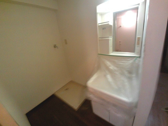 シャンポール西藤江の洗面所