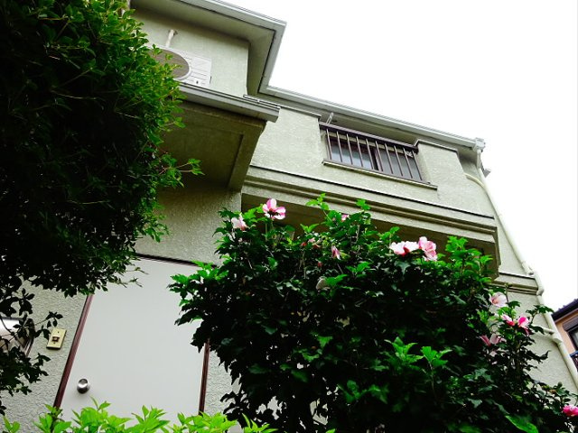 マメゾン羽根木