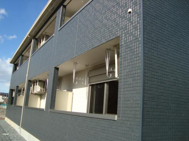 コモド　ピノ　Ⅳ